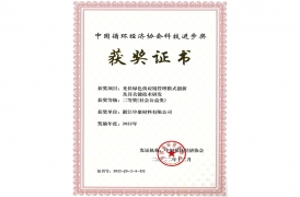 中國循環(huán)經(jīng)濟協(xié)會科學進步獎